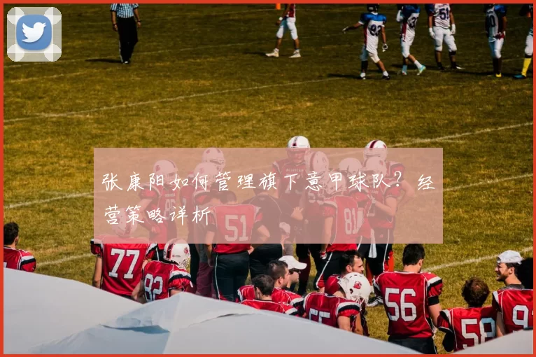 张康阳如何管理旗下意甲球队？经营策略详析