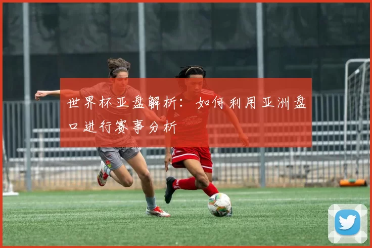 世界杯亚盘解析:如何利用亚洲盘口进行赛事分析
