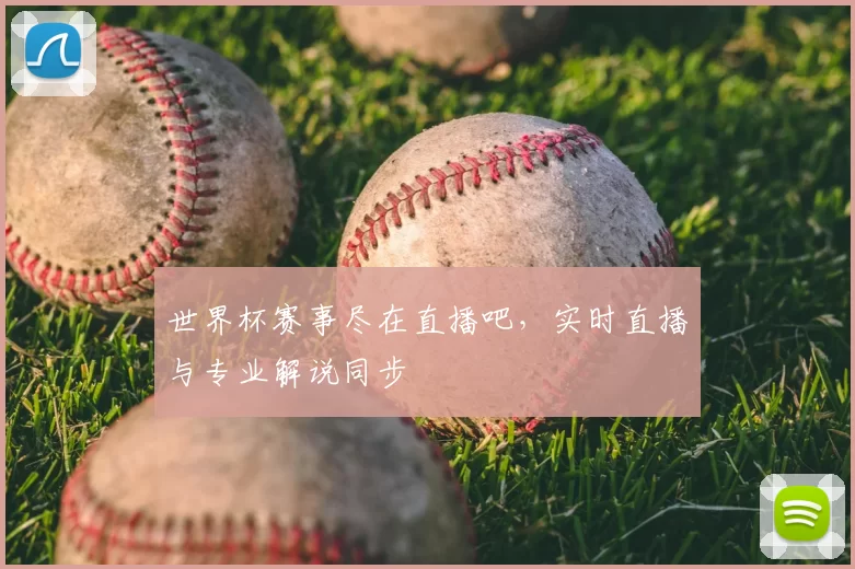 世界杯赛事尽在直播吧,实时直播与专业解说同步