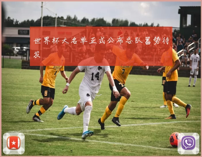 世界杯大名单正式公布各队蓄势待发