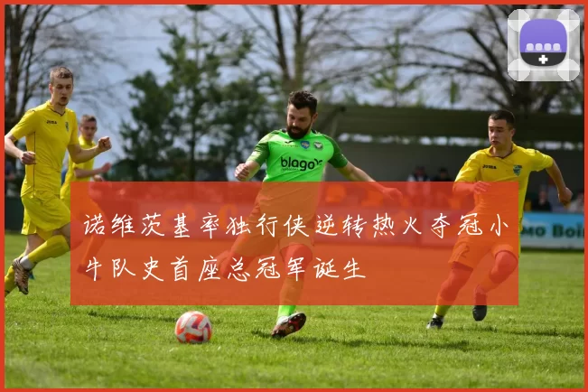 诺维茨基率独行侠逆转热火夺冠小牛队史首座总冠军诞生