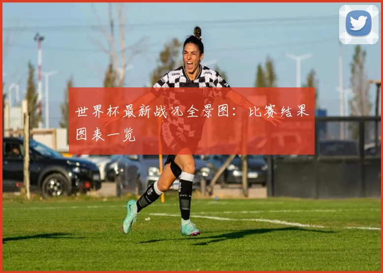 世界杯最新战况全景图:比赛结果图表一览