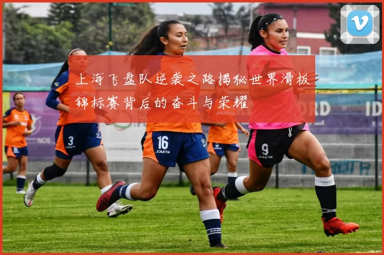 上海飞盘队逆袭之路揭秘世界滑板锦标赛背后的奋斗与荣耀