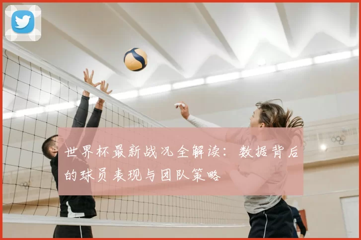 世界杯最新战况全解读:数据背后的球员表现与团队策略
