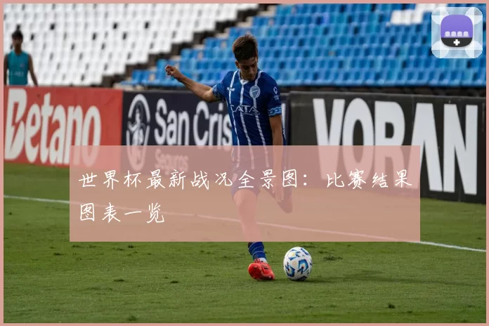世界杯最新战况全景图：比赛结果图表一览