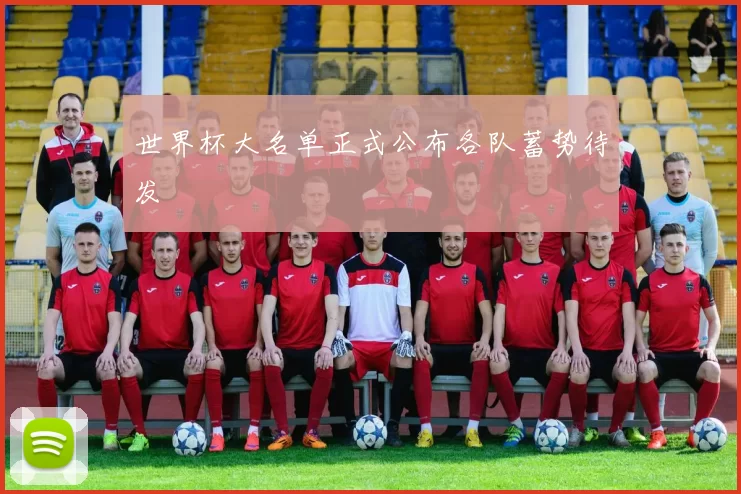 世界杯大名单正式公布各队蓄势待发
